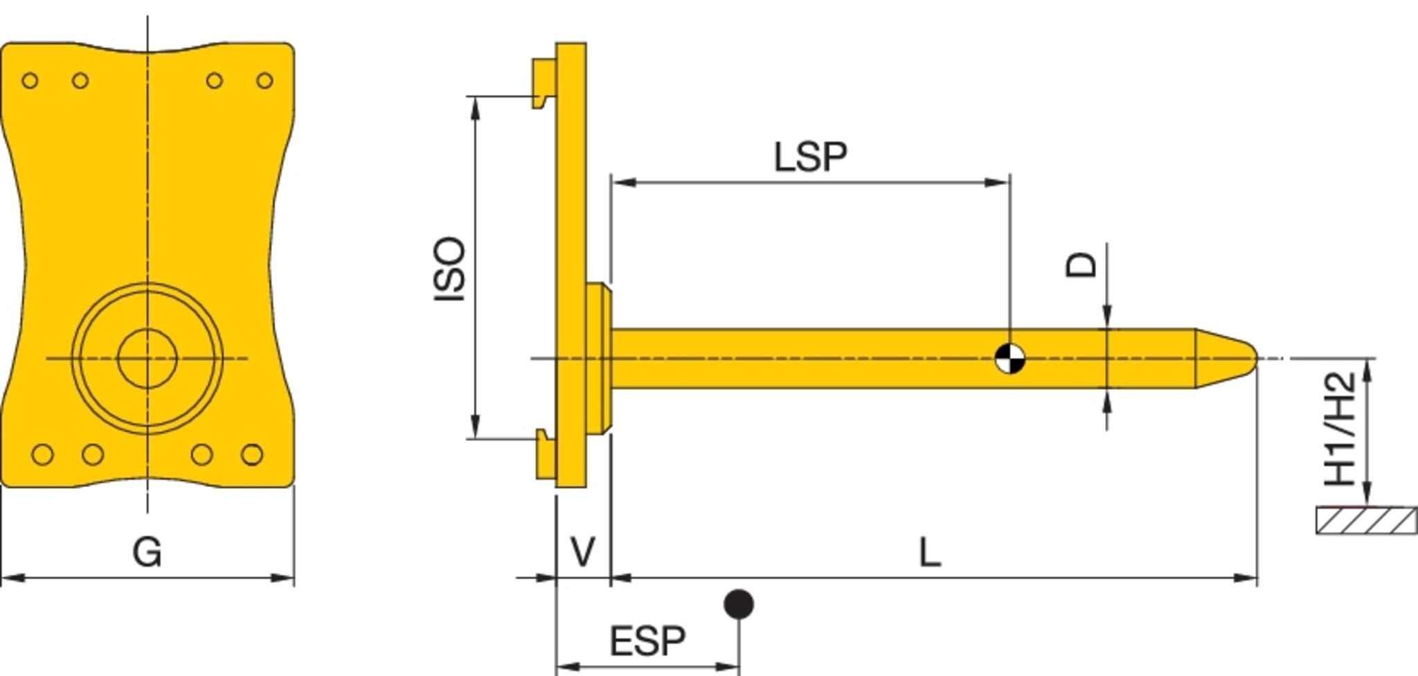 Teppichdorn stabau Zeichnung
